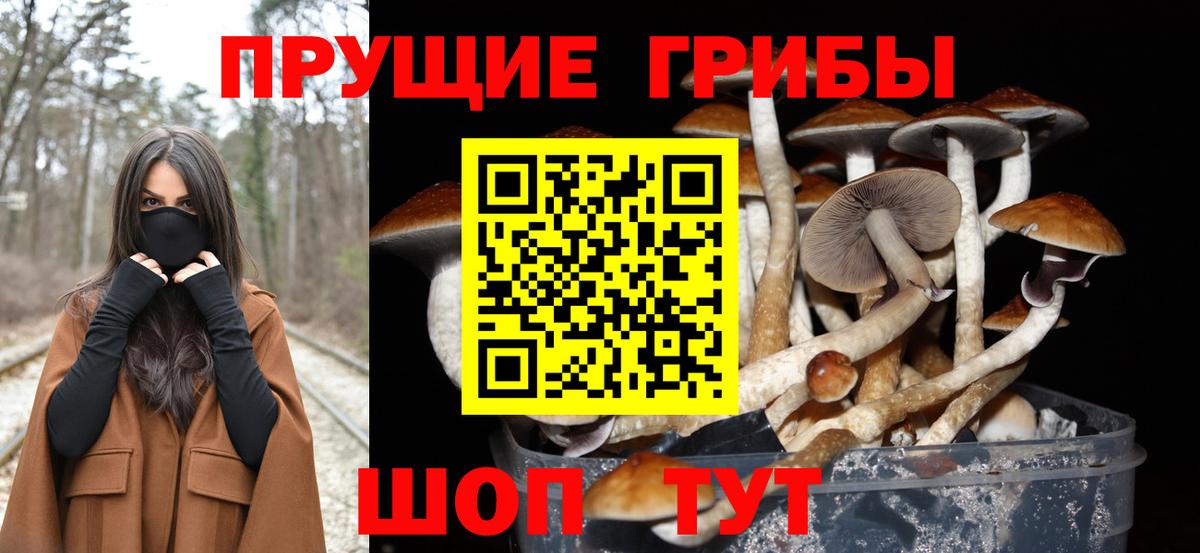 Псилоцибиновые грибы Psilocybe  Псилоцибиновые грибы Psilocybine cubensis  Вход с VPN  Красноуфимск 
